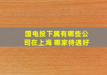 国电投下属有哪些公司在上海 哪家待遇好